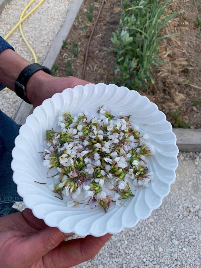 גורדס Ferme Oleicole Les Callis מראה חיצוני תמונה